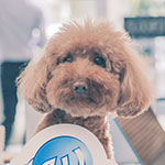 photo-sample-34