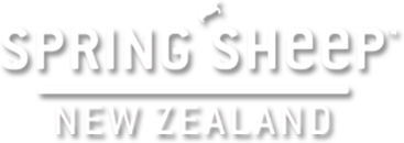 portfolio-springsheep-logo_1003