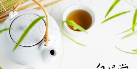 自慢堂 網頁設計公司