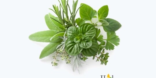 君達集團 網頁設計公司