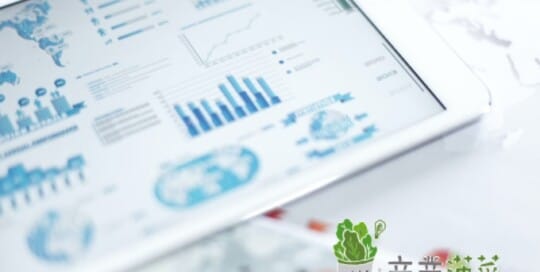 商業菠菜 網頁設計公司