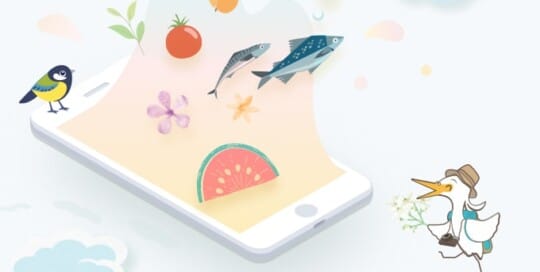 台灣休閒農場 網頁設計公司