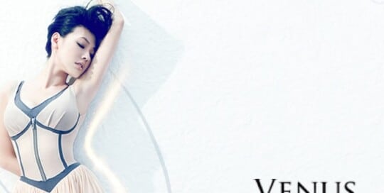 維娜斯venus 網頁設計公司