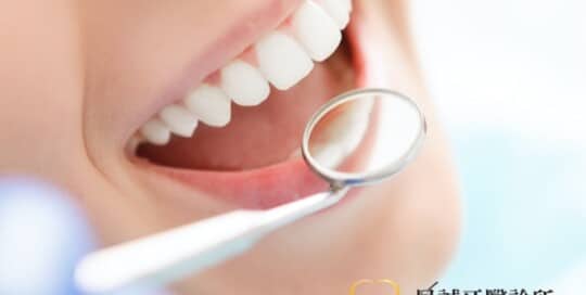 星誠 網頁設計公司