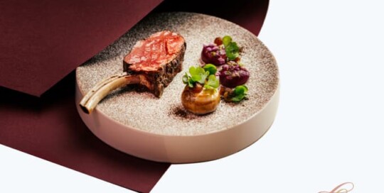 Lopfait樂斐 網頁設計作品